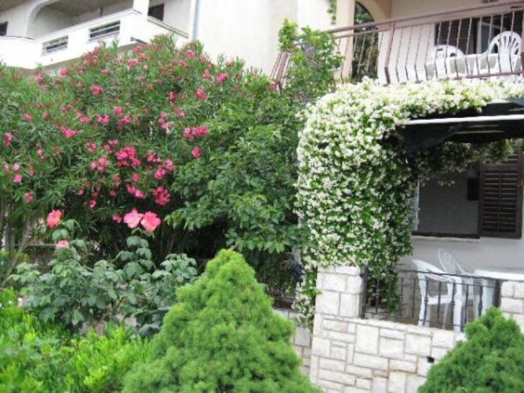 Image 3838544 - 4