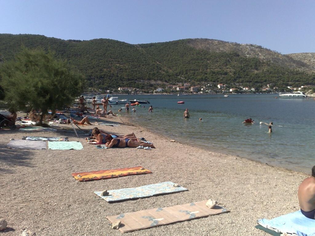 Image 12