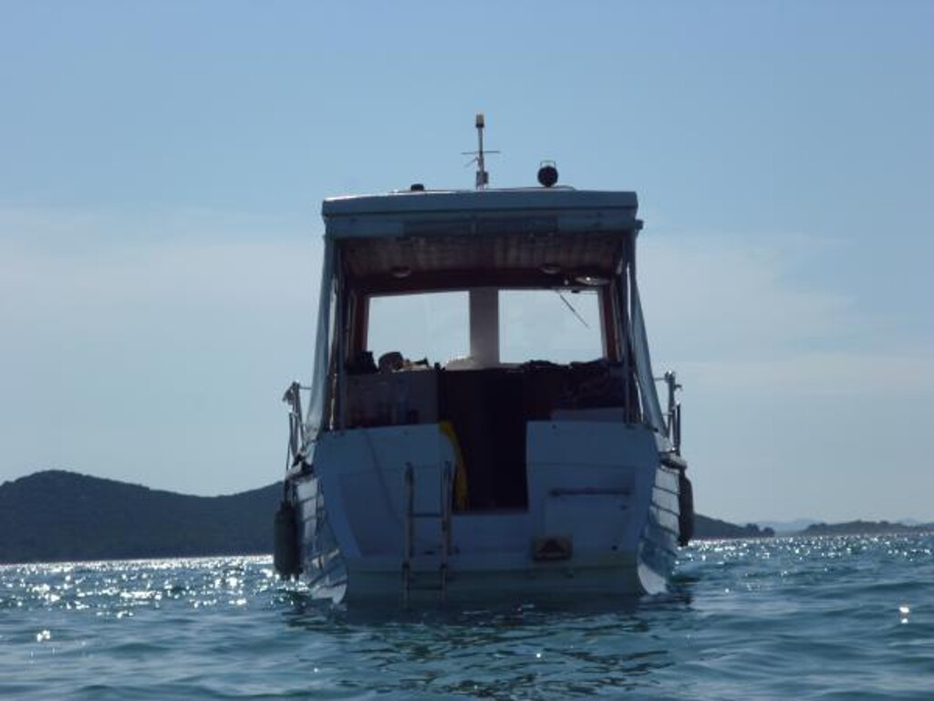 Image 3838813 - 10
