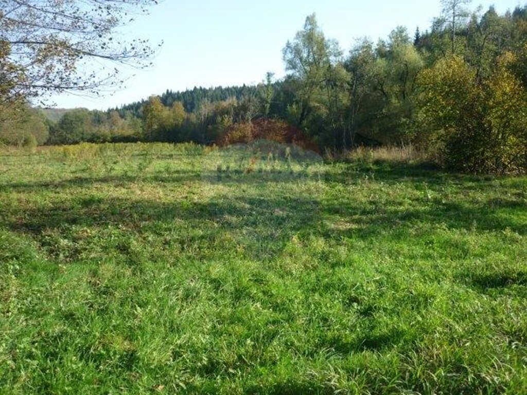 Image 5410907 - 1