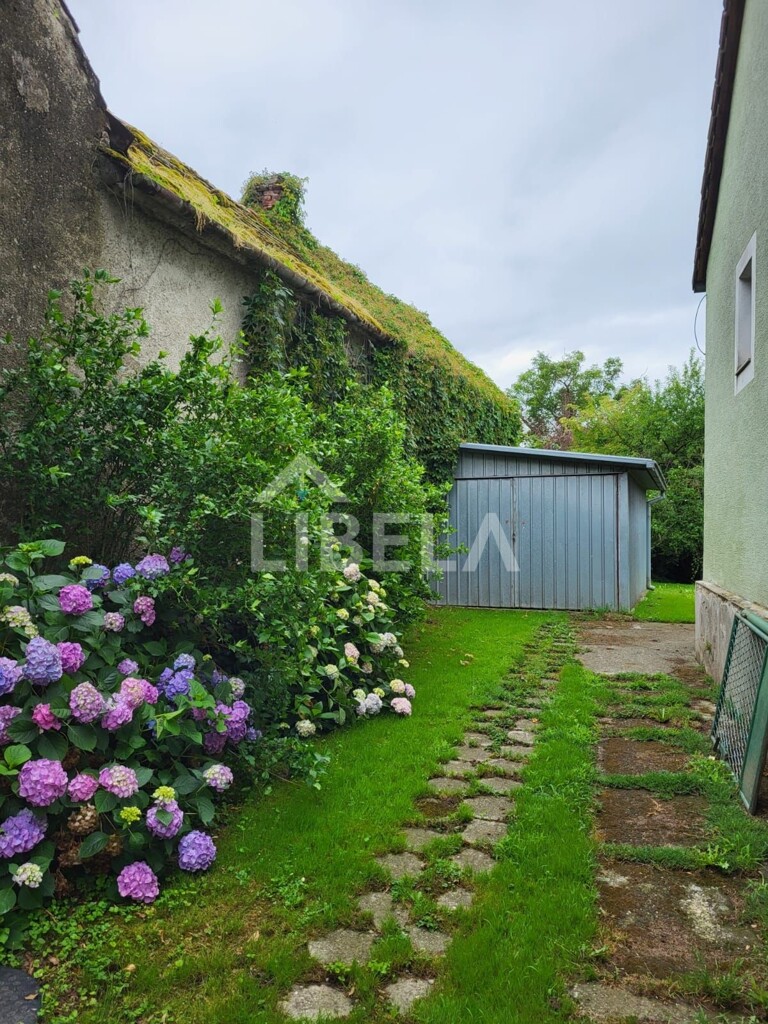 Image 9