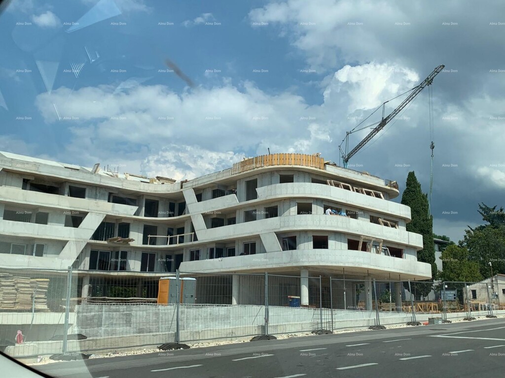 Image 10