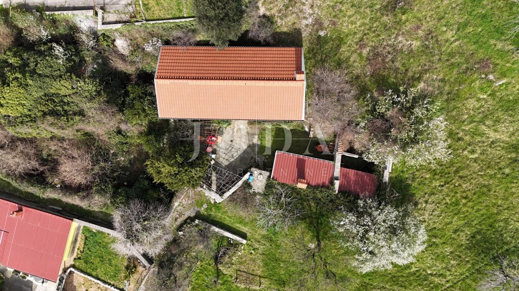 Image 12