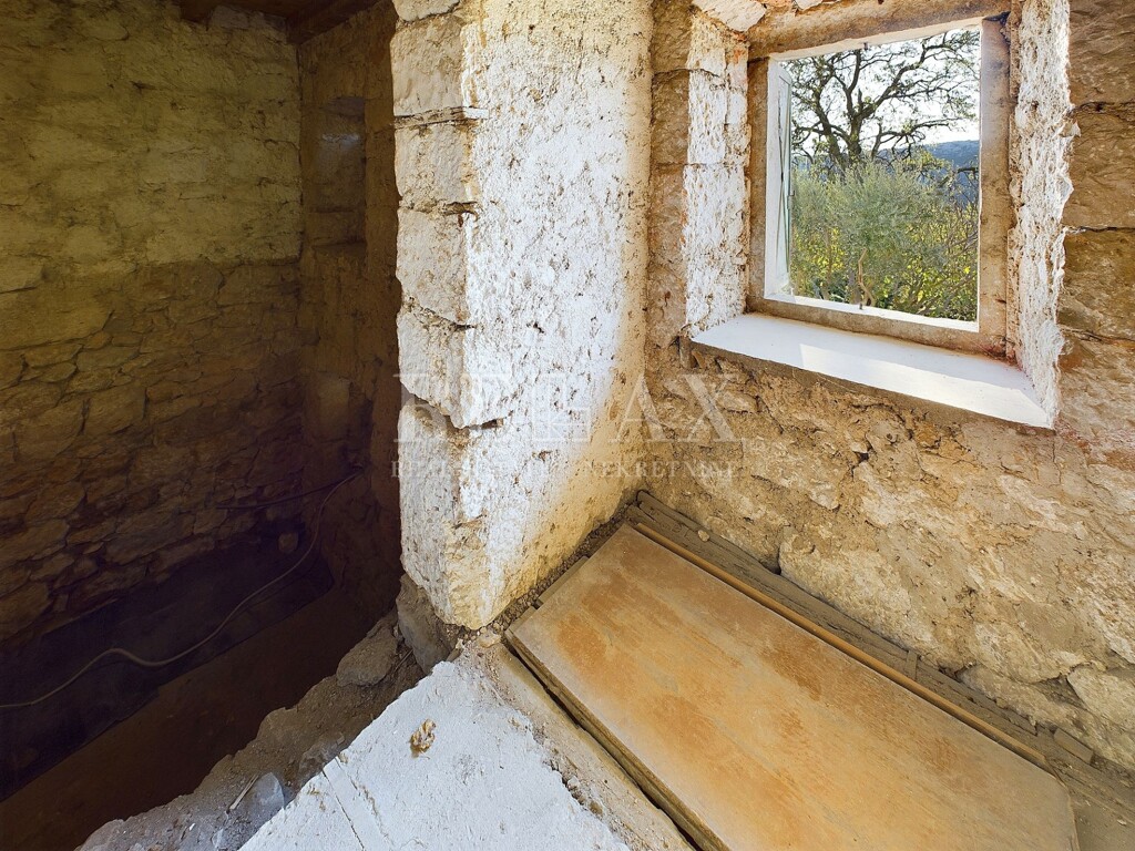 Image 21