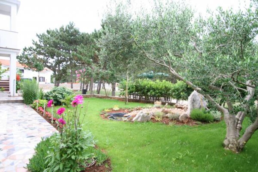 Image 3838661 - 12