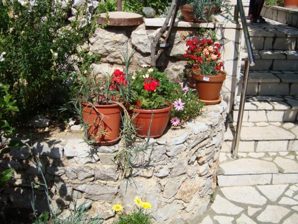 Image 3814051 - 11