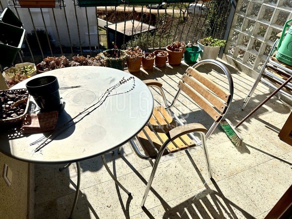 Image 12