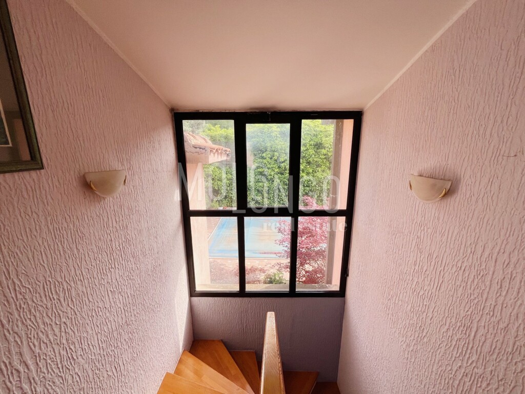 Image 19