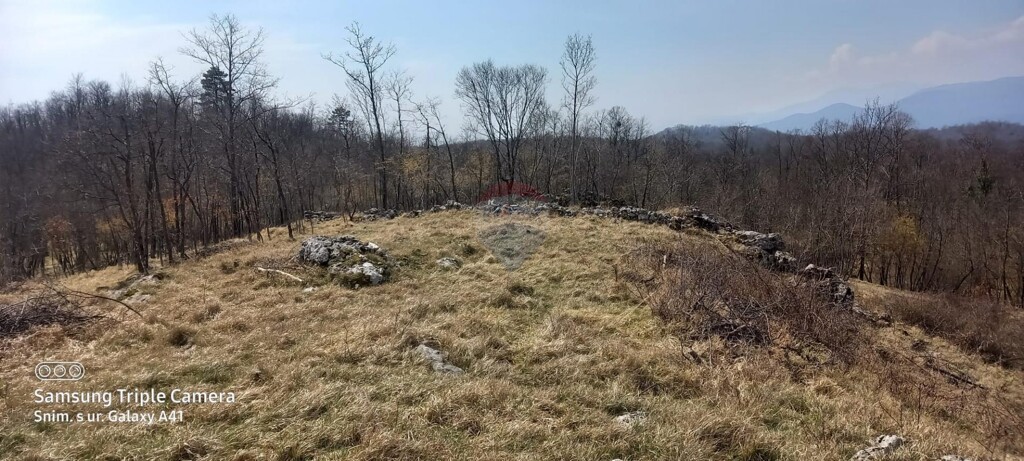 Image 12