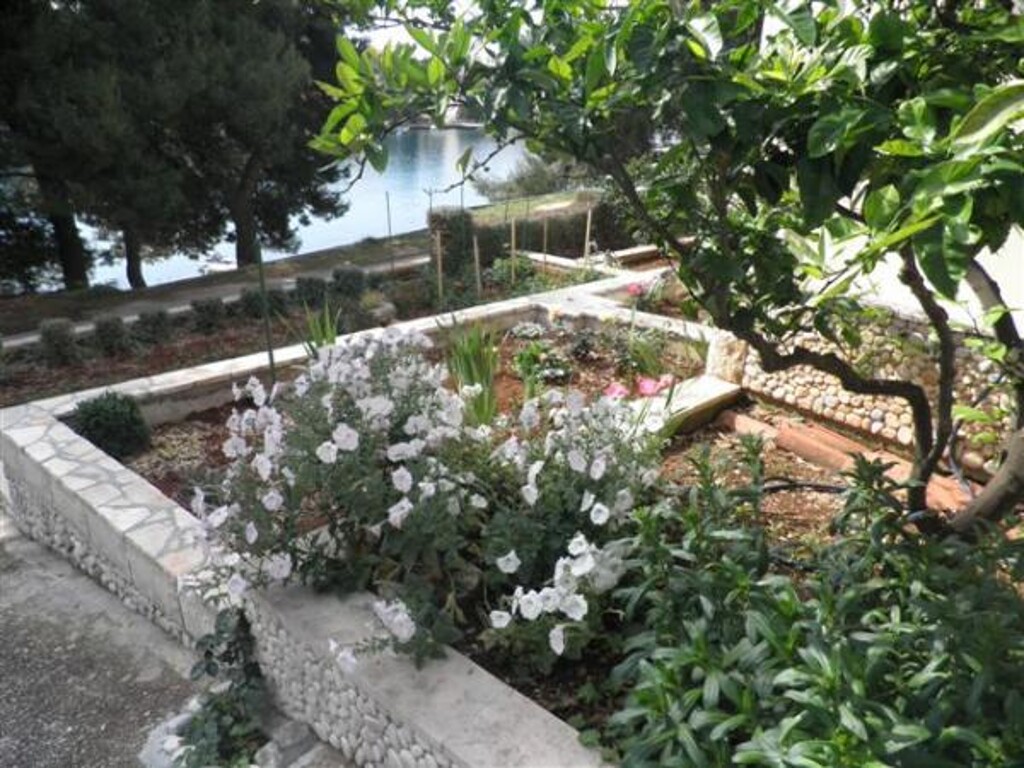 Image 3838566 - 20