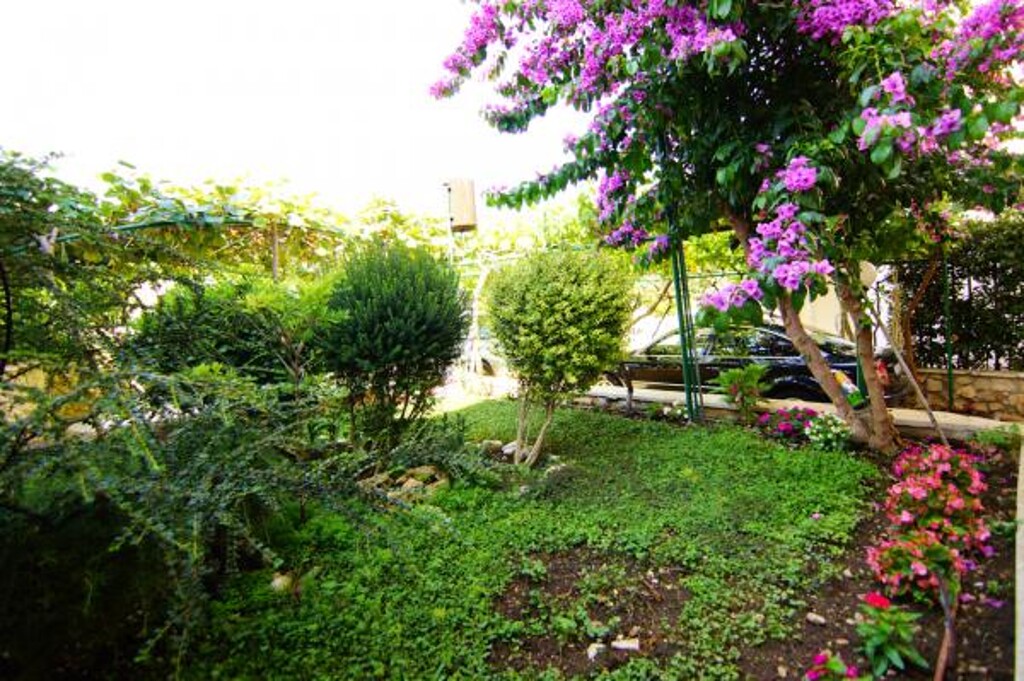 Image 3813701 - 7