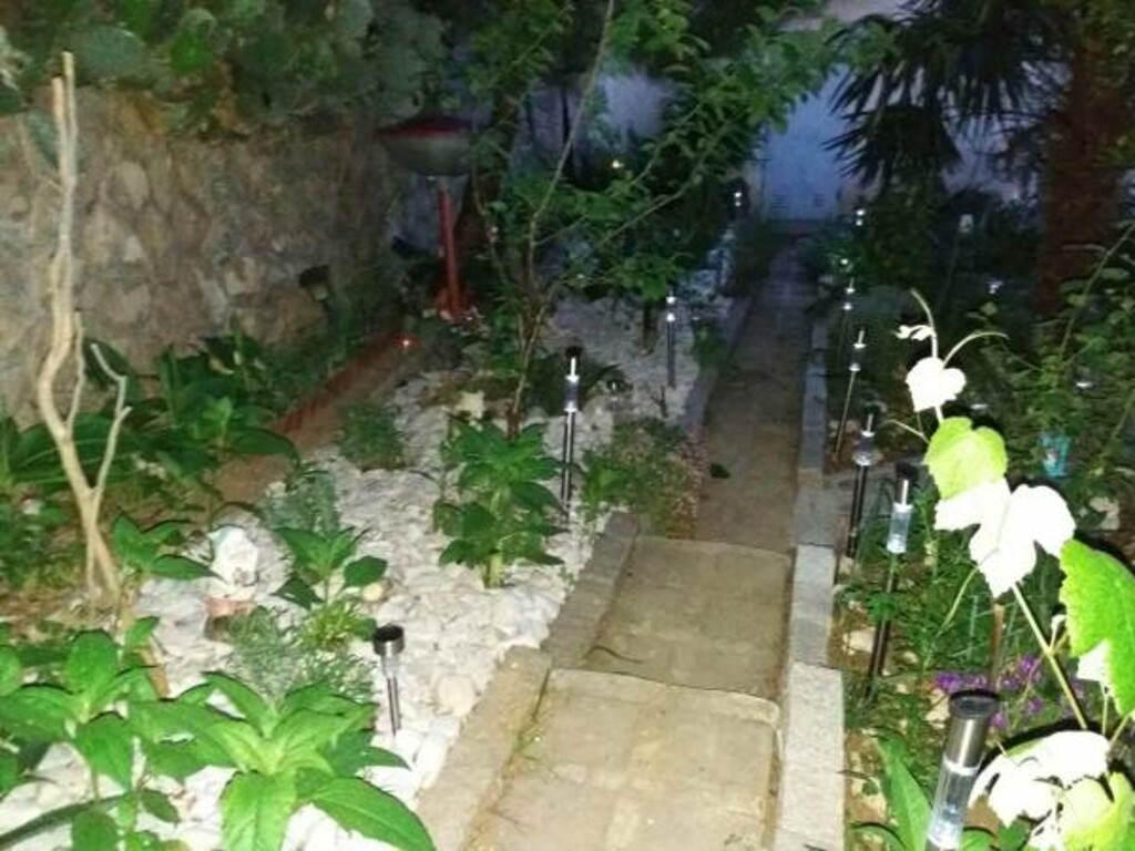 Image 3812744 - 3