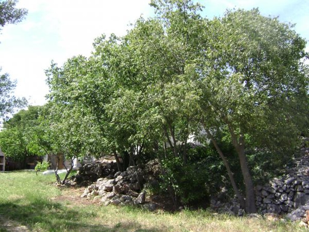 Image 3812949 - 21