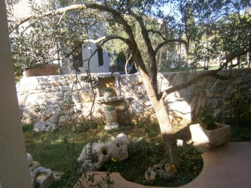 Image 3813221 - 2