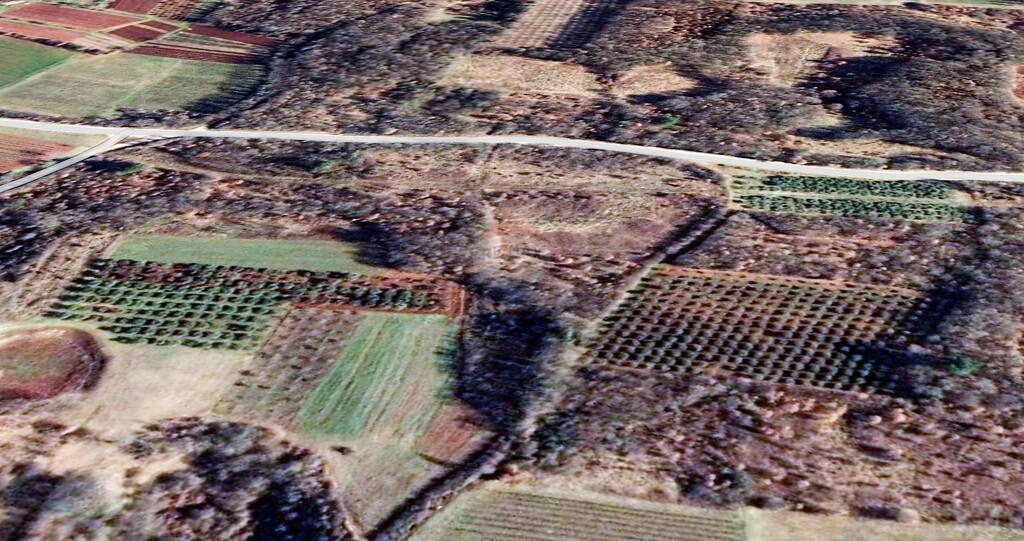Image 5427989 - 1