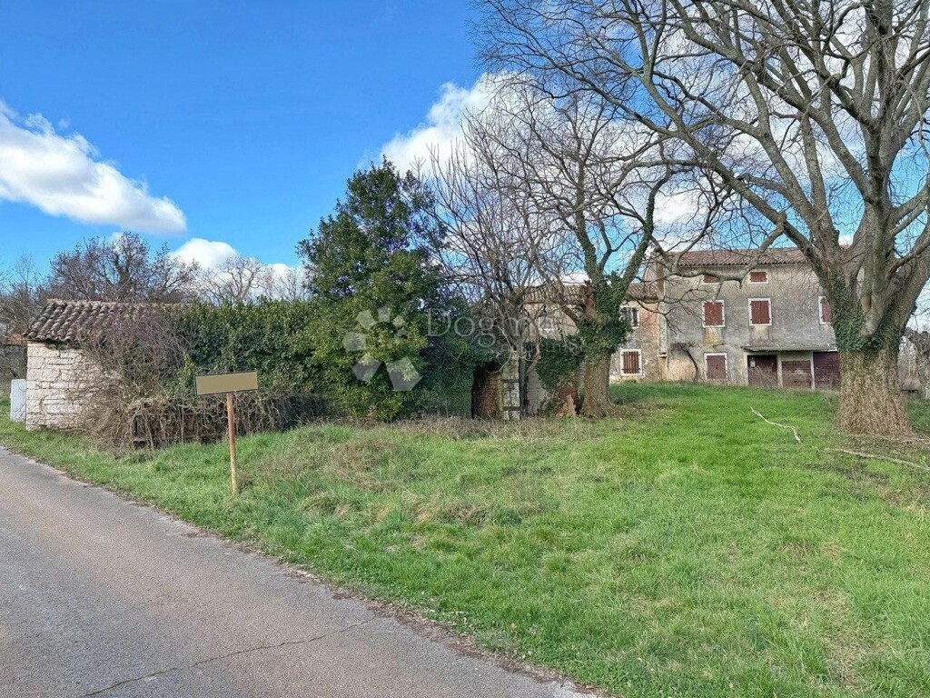 Image 13