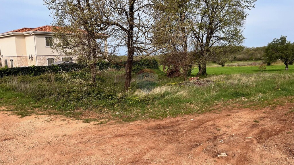 Image 13