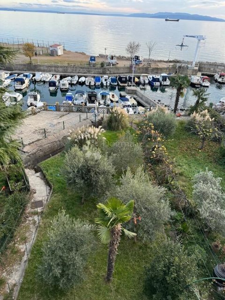 Image 25