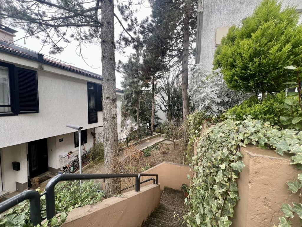 Image 13