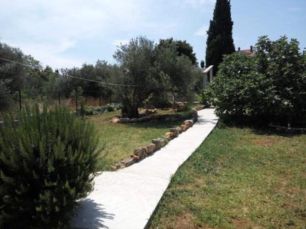 Image 3812475 - 7