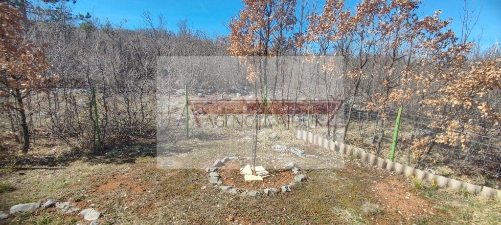 Image 13