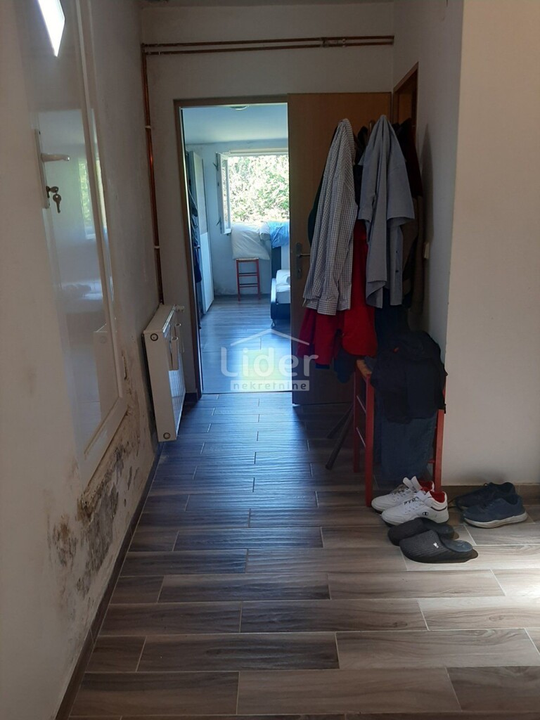 Image 13