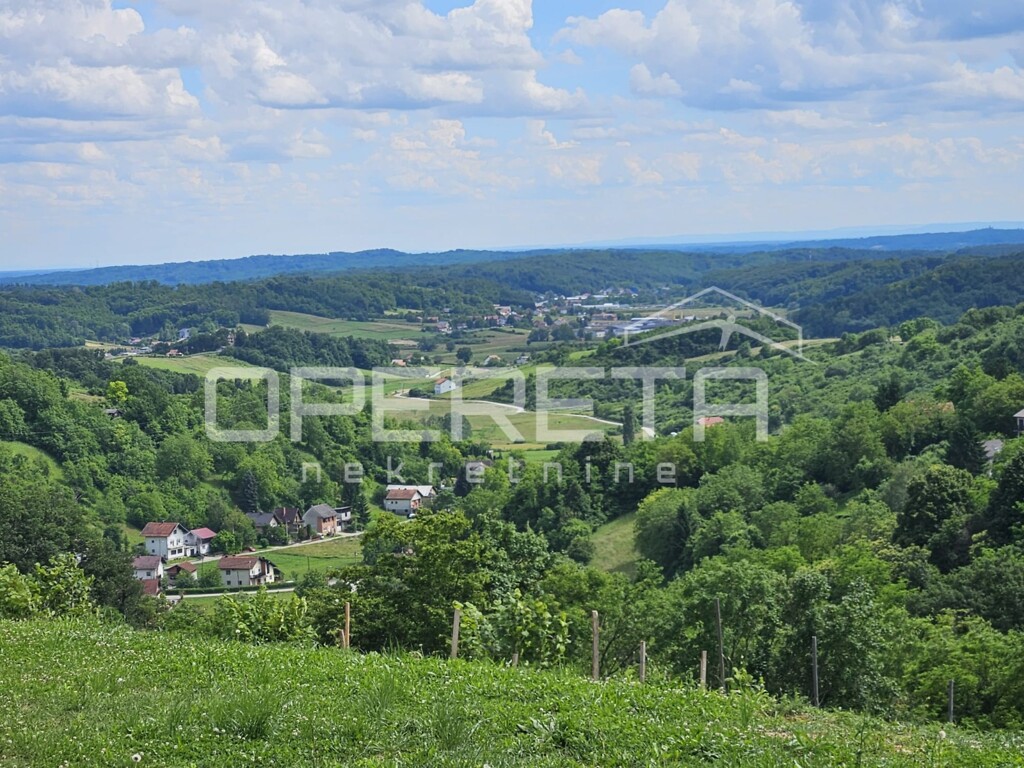Image 13