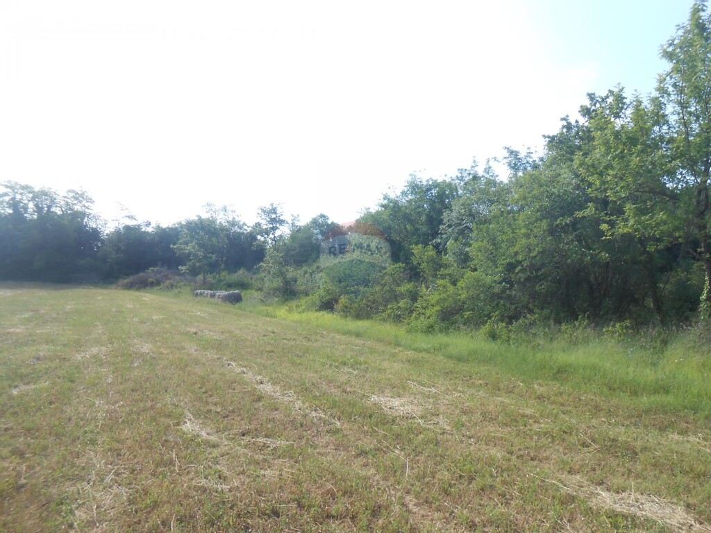 Image 5430597 - 7