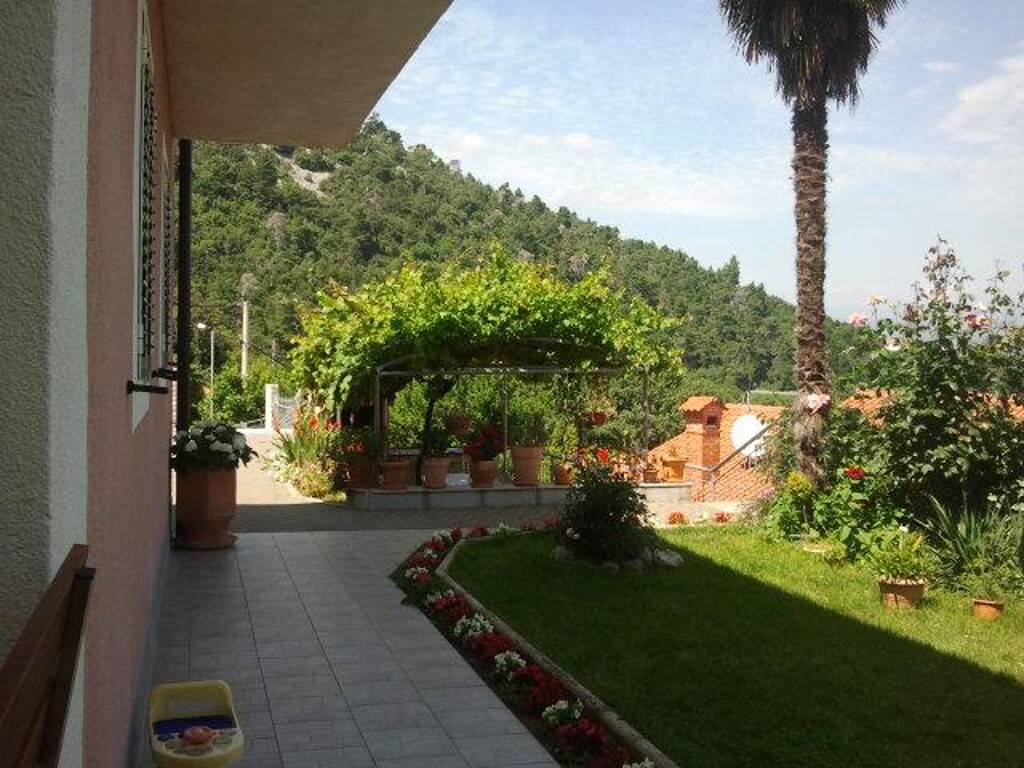 Image 3811335 - 28