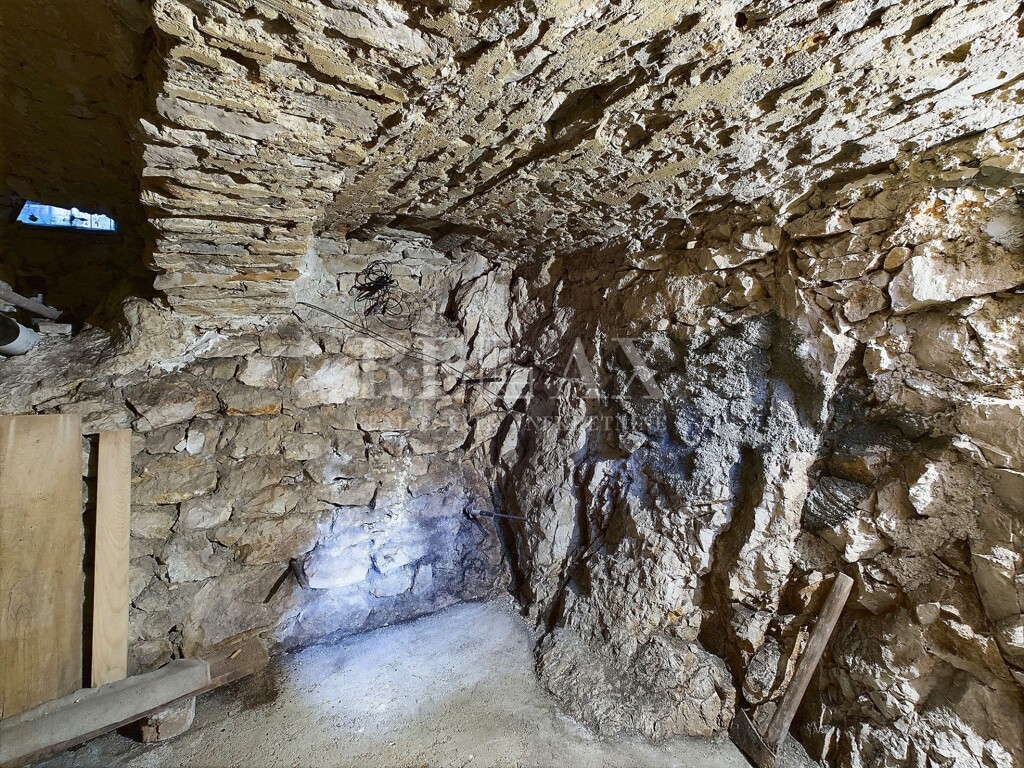 Image 13