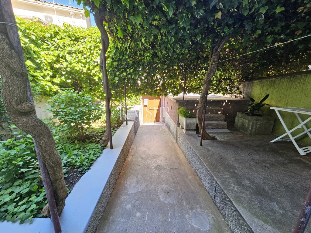 Image 15