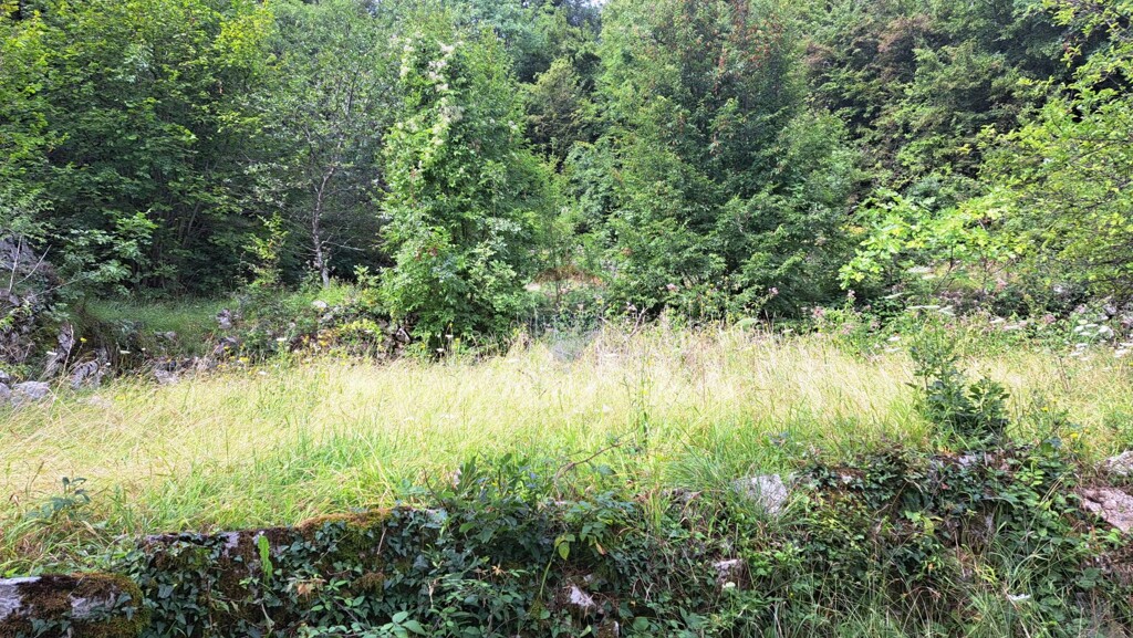 Image 5429440 - 4