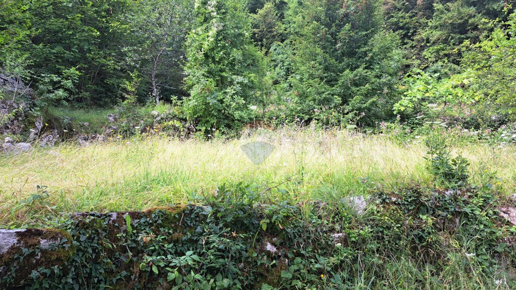 Image 5429440 - 5