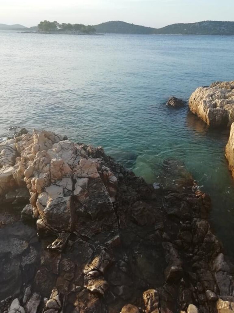 Image 21