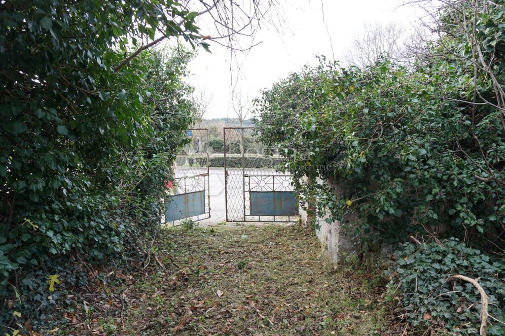 Image 14