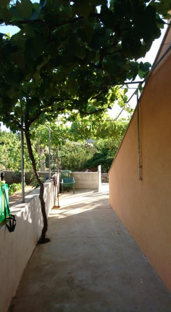 Image 3813861 - 13
