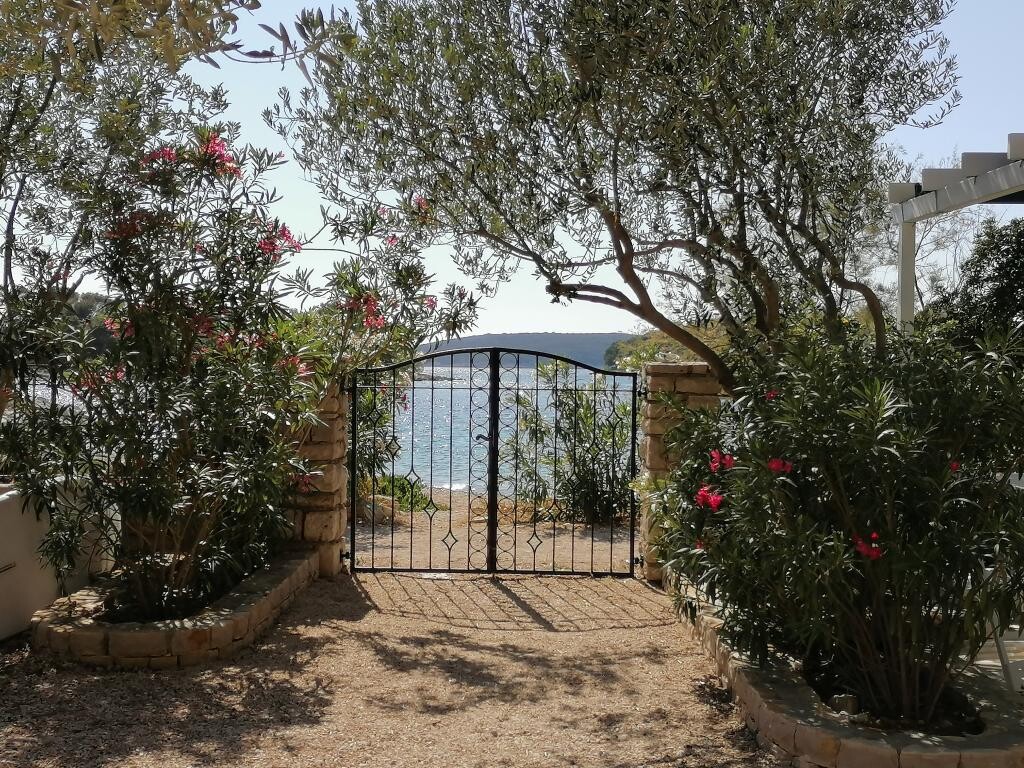 Image 3812569 - 10