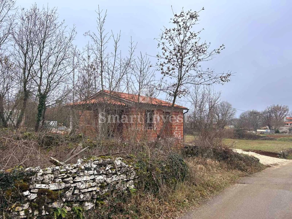Image 12