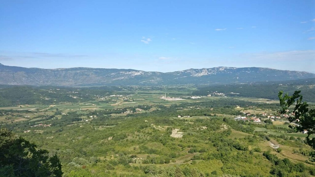 Image 14