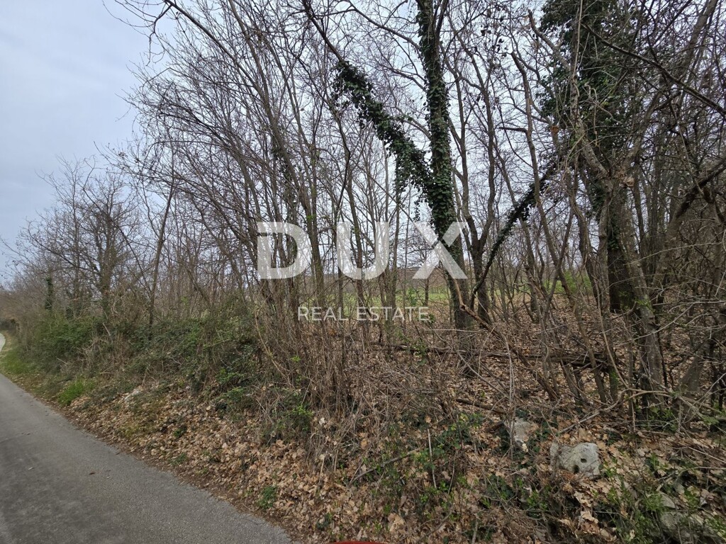 Image 15