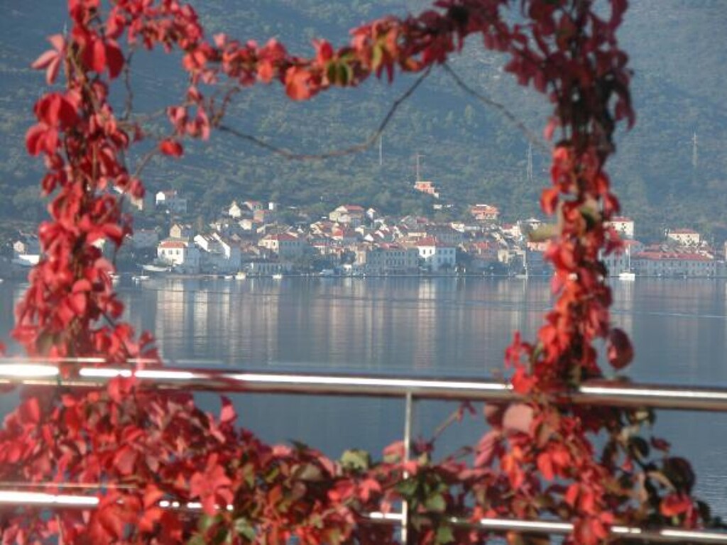 Image 3812067 - 12