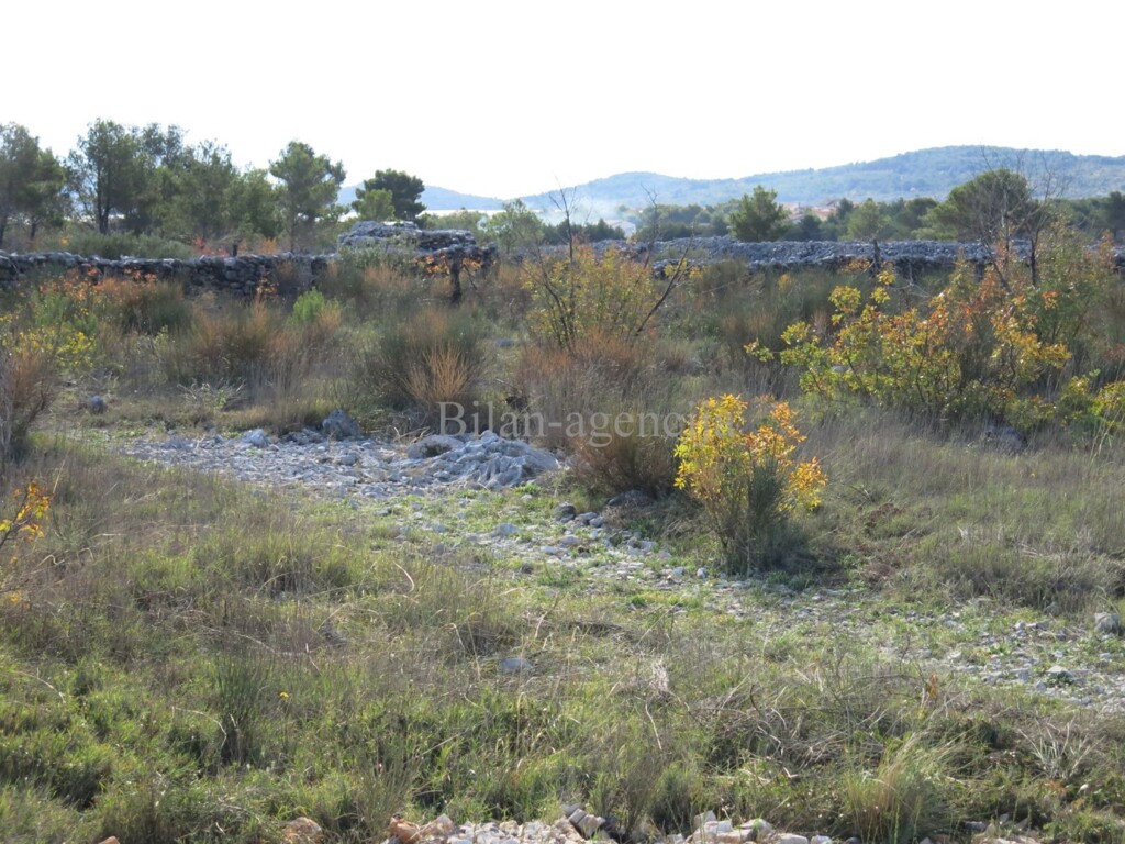 Image 4950664 - 2