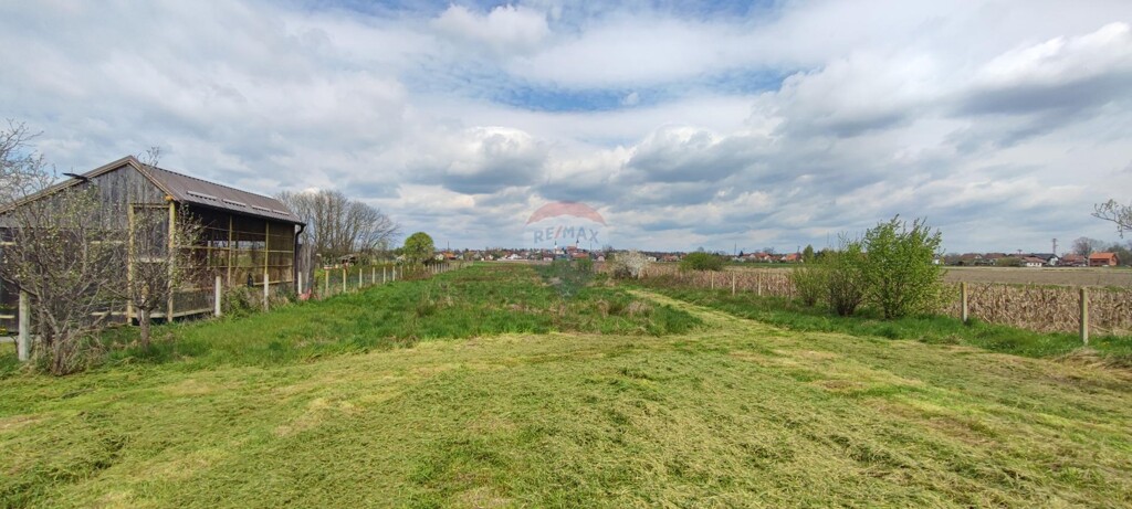 Image 15
