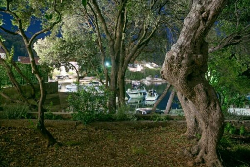 Image 3814816 - 9