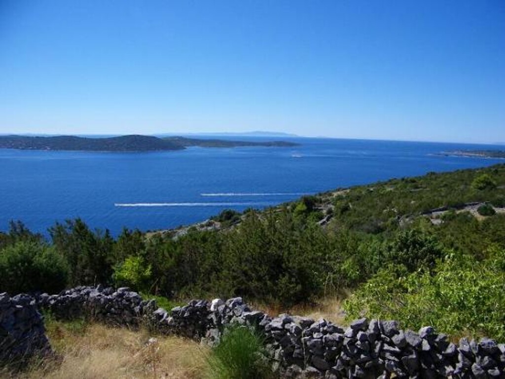 Image 3812416 - 11