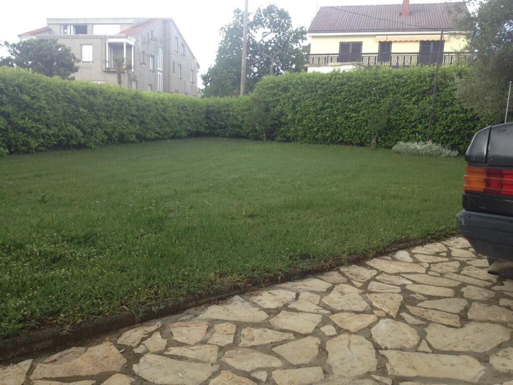 Image 3838730 - 11