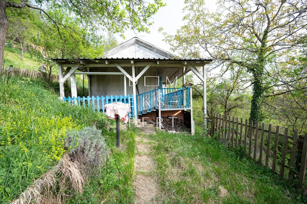Image 11
