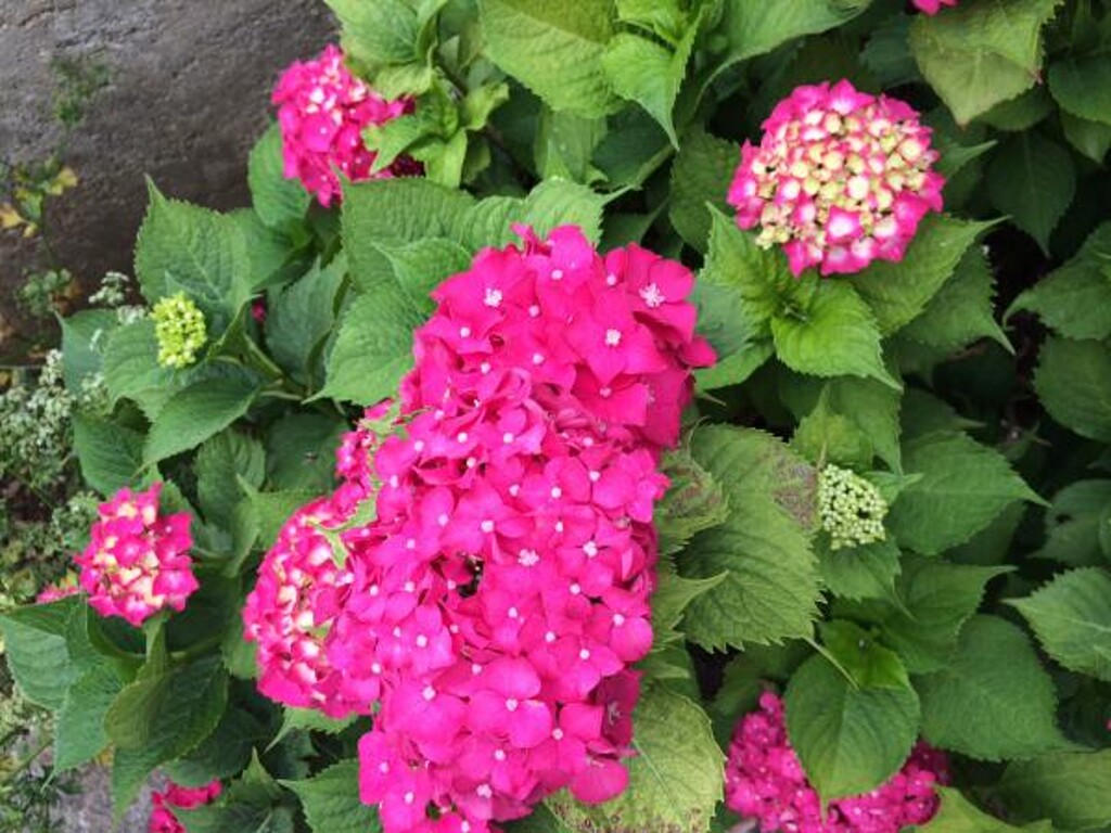 Image 3810994 - 2