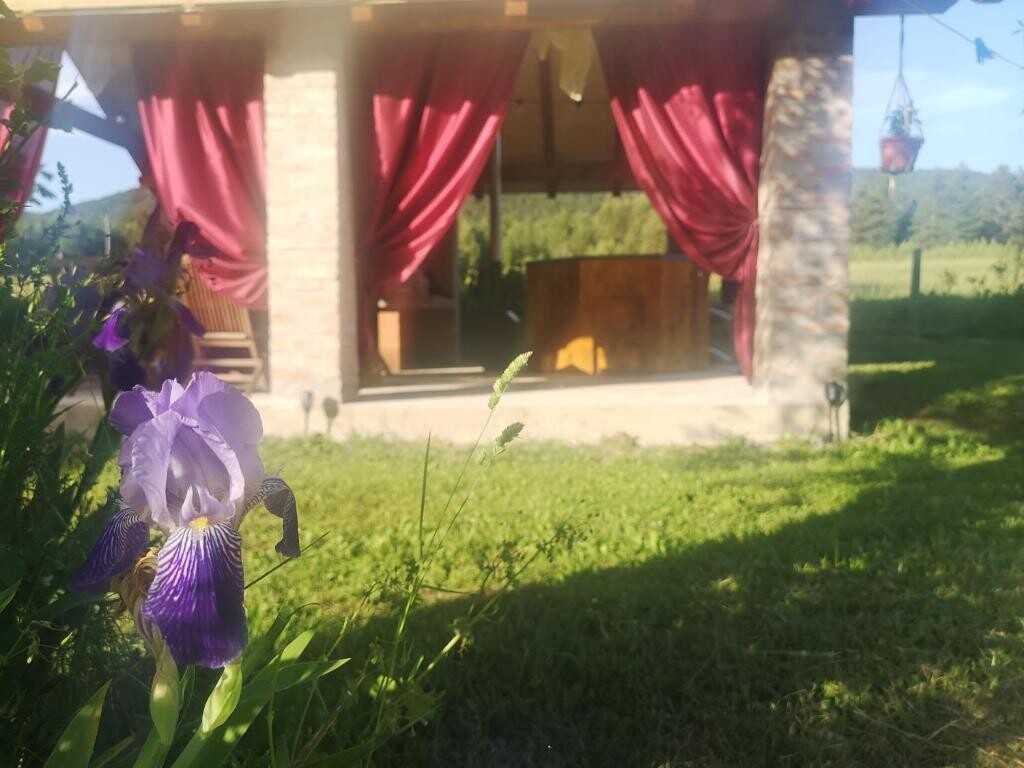 Image 13