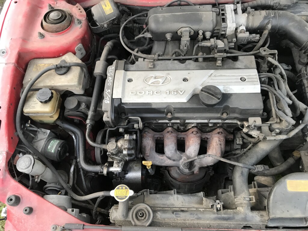 Image 10